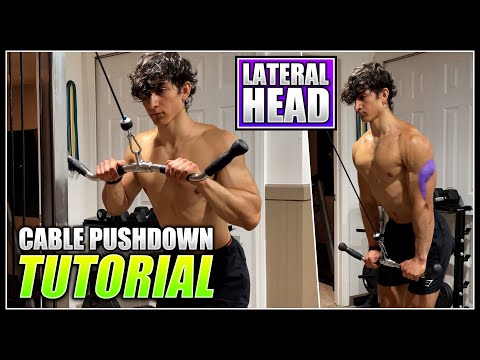 Cable Tricep Pushdown