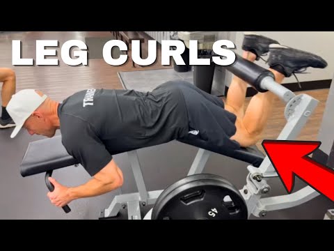 Seated Leg Curl